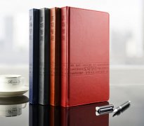 四川五項(xiàng)管理行動日志皮質(zhì)筆記本